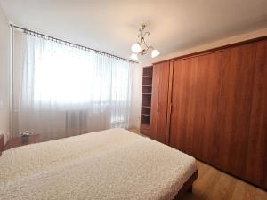 Pronájem bytu 2+1, Kralupy nad Vltavou, sídl. Hůrka, 58 m2