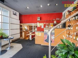 Prodej obchodního prostoru, Brno, Zemědělská, 57 m2