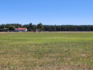 Prodej pozemku pro bydlení, Čermná nad Orlicí, 4174 m2
