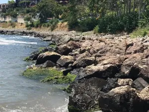 Prodej bytu 1+kk, Nesebar, Bulharsko, 28 m2