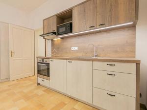 Pronájem bytu 1+kk, Olomouc, Šemberova, 30 m2