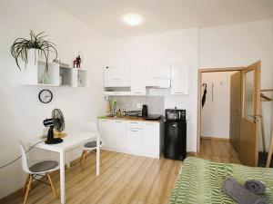 Pronájem bytu 1+kk, Brno, Vlhká, 21 m2