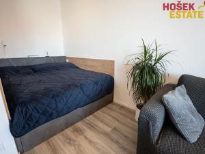 Prodej bytu 1+kk, Brno, Střední, 36 m2