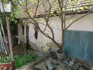 Dražba rodinného domu, Borkovany, 245 m2