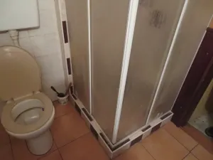 Dražba rodinného domu, Borkovany, 245 m2