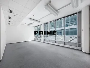 Pronájem kanceláře, Praha - Nové Město, Krakovská, 300 m2