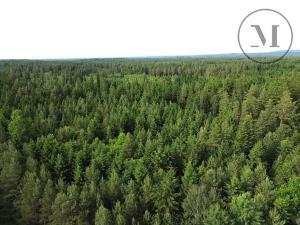 Prodej rodinného domu, České Velenice, 60 m2