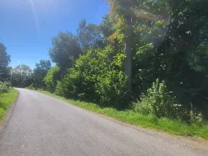 Prodej pozemku pro bydlení, Staré Křečany, 2547 m2