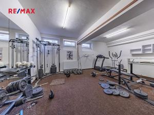 Prodej vícegeneračního domu, Doksy, Pod Borným, 1700 m2