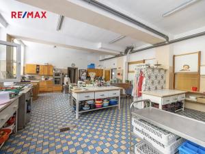 Prodej vícegeneračního domu, Doksy, Pod Borným, 1700 m2