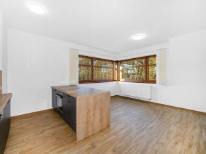 Pronájem bytu 3+kk, Plzeň - Severní Předměstí, Bolevecká, 58 m2