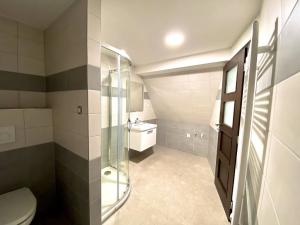 Pronájem bytu 2+kk, Teplice, J. K. Tyla, 82 m2