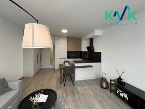 Pronájem bytu 1+kk, Ostrov, Myslbekova, 33 m2
