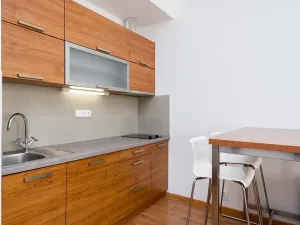 Pronájem bytu 1+kk, Praha - Žižkov, Vlkova, 25 m2