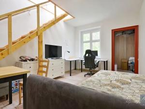 Pronájem bytu 1+kk, Ústí nad Labem, Masarykova, 30 m2