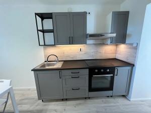 Pronájem bytu 2+1, Liberec, Zahradní, 55 m2