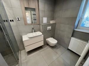 Pronájem bytu 2+1, Liberec, Zahradní, 55 m2