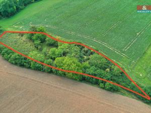 Prodej lesa, Velké Všelisy, 1302 m2