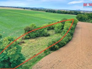 Prodej lesa, Velké Všelisy, 1302 m2