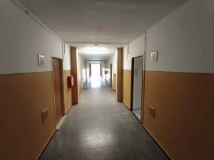 Pronájem bytu 1+1, Ostrava - Zábřeh, Čujkovova, 30 m2