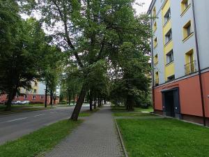 Pronájem bytu 1+1, Ostrava - Zábřeh, Čujkovova, 30 m2