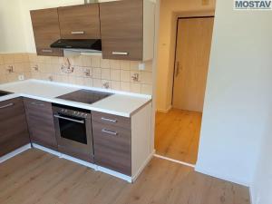 Prodej bytu 1+1, Litvínov, Horní, 33 m2