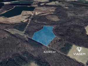 Prodej podílu lesa, Poděbrady, 2631 m2