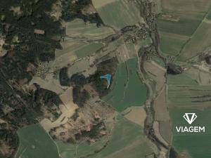 Prodej lesa, Pravonín, 5310 m2