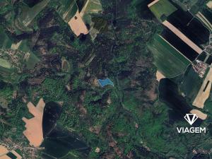 Prodej lesa, Svatoslav, 22071 m2