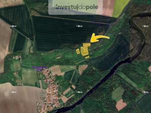 Prodej lesa, Budyně nad Ohří - Břežany nad Ohří, 3124 m2