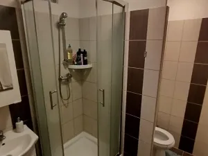 Pronájem bytu 1+1, Plzeň, Sokolovská, 26 m2