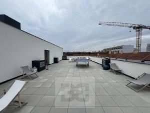 Pronájem bytu 1+kk, Brno, Spolková, 35 m2