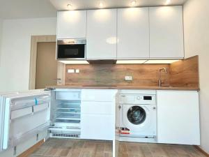 Pronájem bytu 1+kk, Praha - Žižkov, Olgy Havlové, 29 m2