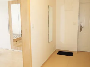 Pronájem bytu 2+kk, Brno, Kounicova, 55 m2