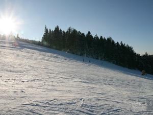 Prodej rodinného domu, Kraslice, Pod lesem, 135 m2