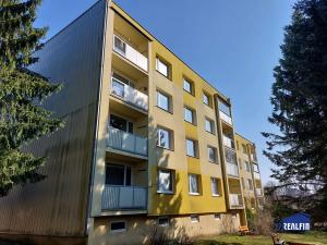 Pronájem bytu 1+1, Liberec, Neklanova, 37 m2