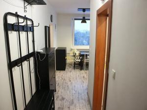 Pronájem bytu 1+1, Chomutov, Kostnická, 36 m2