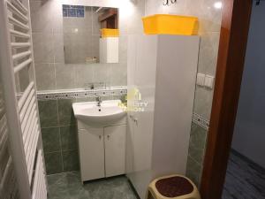 Pronájem bytu 1+1, Chomutov, Kostnická, 36 m2