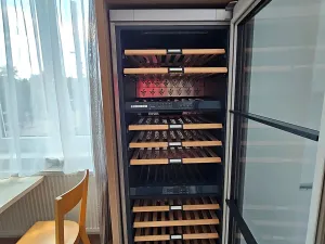 Pronájem bytu 3+kk, Plzeň, Mánesova, 62 m2