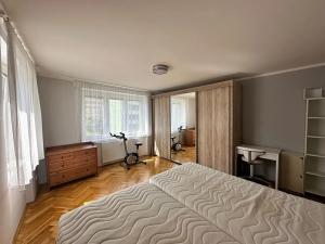 Pronájem bytu 2+1, Děčín, Plavební, 66 m2