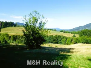 Prodej louky, Čeladná, 13031 m2