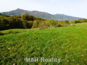 Prodej louky, Čeladná, 13031 m2