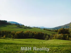 Prodej louky, Čeladná, 13031 m2
