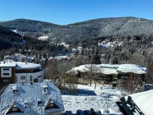 Pronájem bytu 1+1, Špindlerův Mlýn, 25 m2