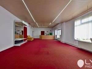 Prodej komerční nemovitosti, Nové Město na Moravě, 230 m2