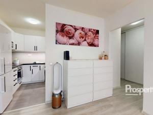 Prodej bytu 2+kk, Slaný, Vikova, 42 m2