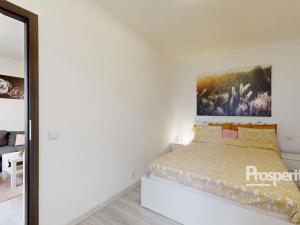 Prodej bytu 2+kk, Slaný, Vikova, 42 m2
