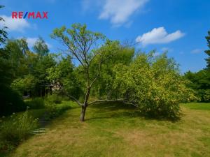 Prodej pozemku pro bydlení, Nová Ves pod Pleší, Kolmá, 387 m2