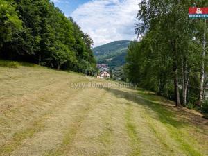 Prodej pozemku pro bydlení, Jeseník, Thámova, 7484 m2