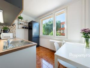Pronájem bytu 2+1, Ústí nad Labem - Neštěmice, Mlýnská, 61 m2
